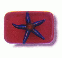 Starfish Soap